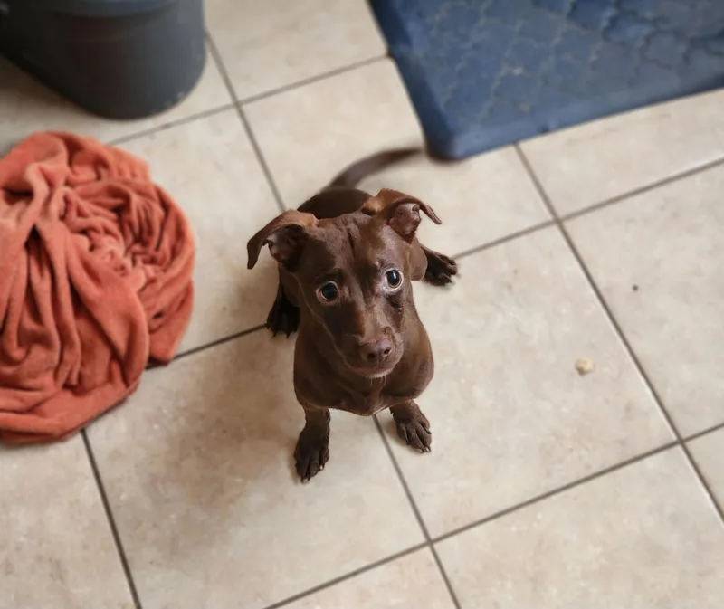 Hershey thumbnail 2