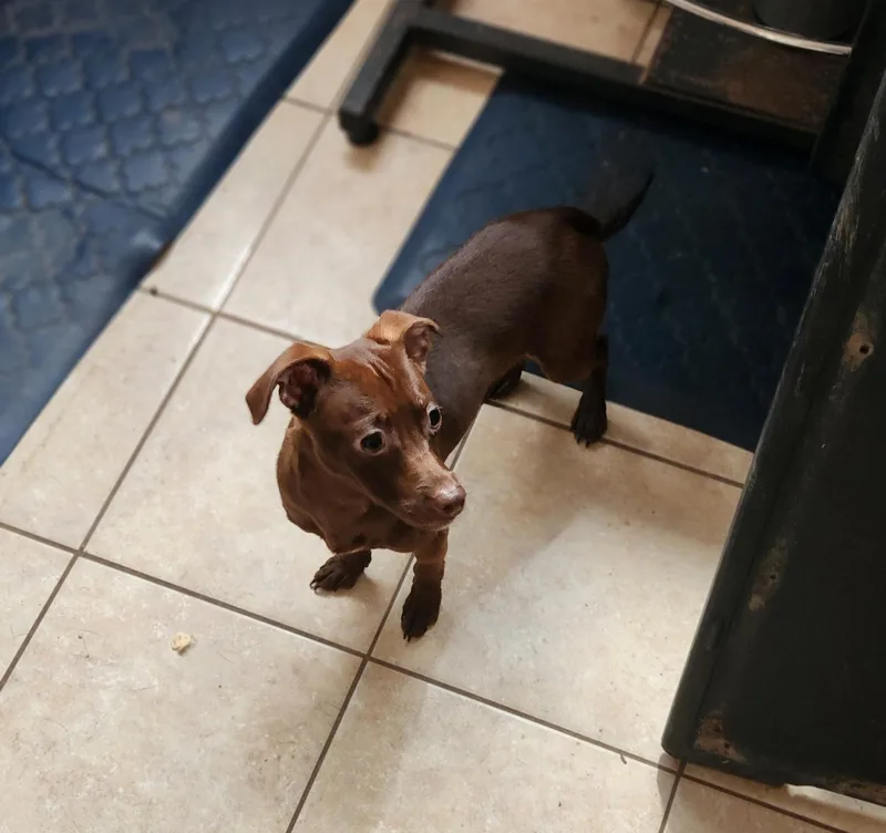 Hershey thumbnail 3