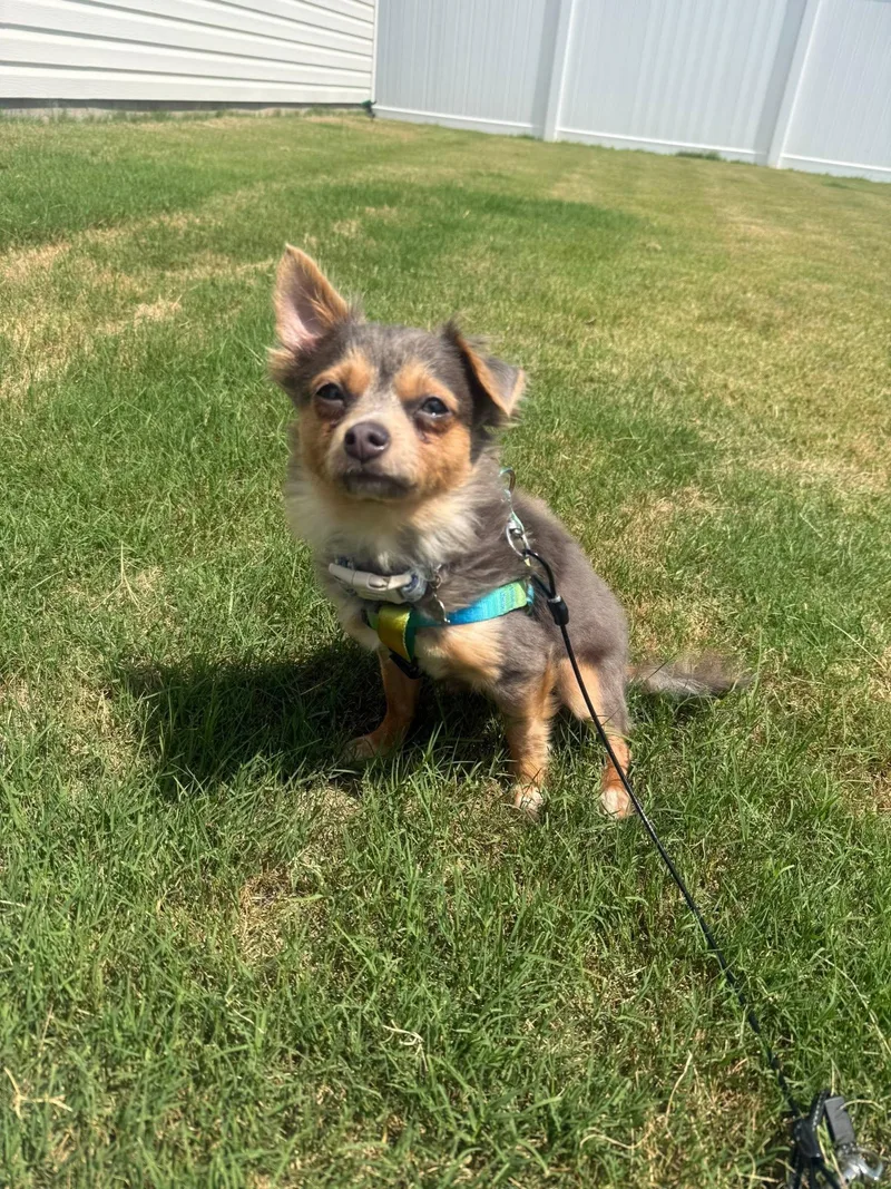 Crouton