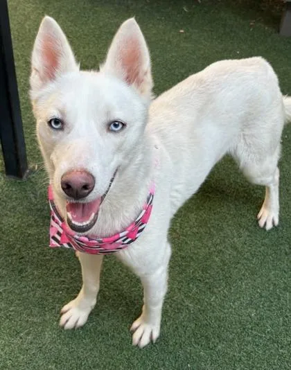 Lucy Lou thumbnail 2