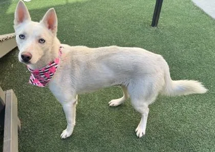 Lucy Lou thumbnail 3