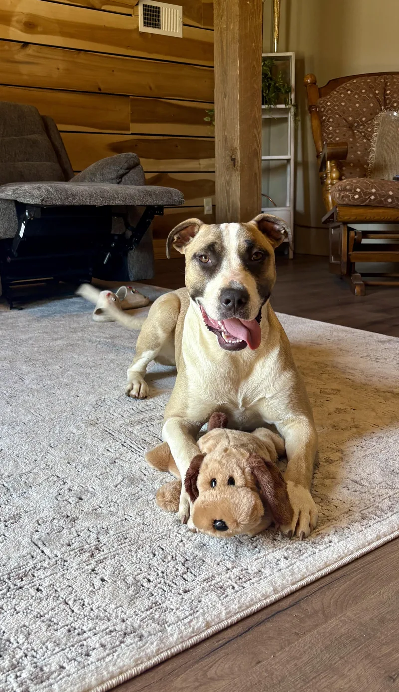 Duke