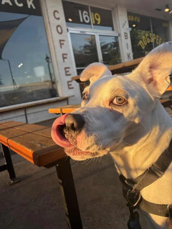 Kalamazoo thumbnail 2