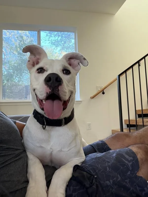 Kalamazoo thumbnail 3