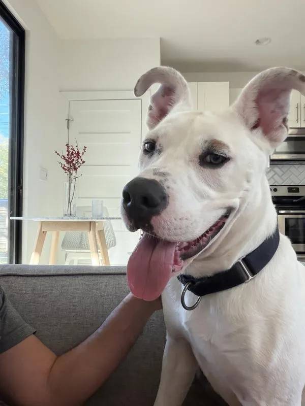 Kalamazoo thumbnail 4