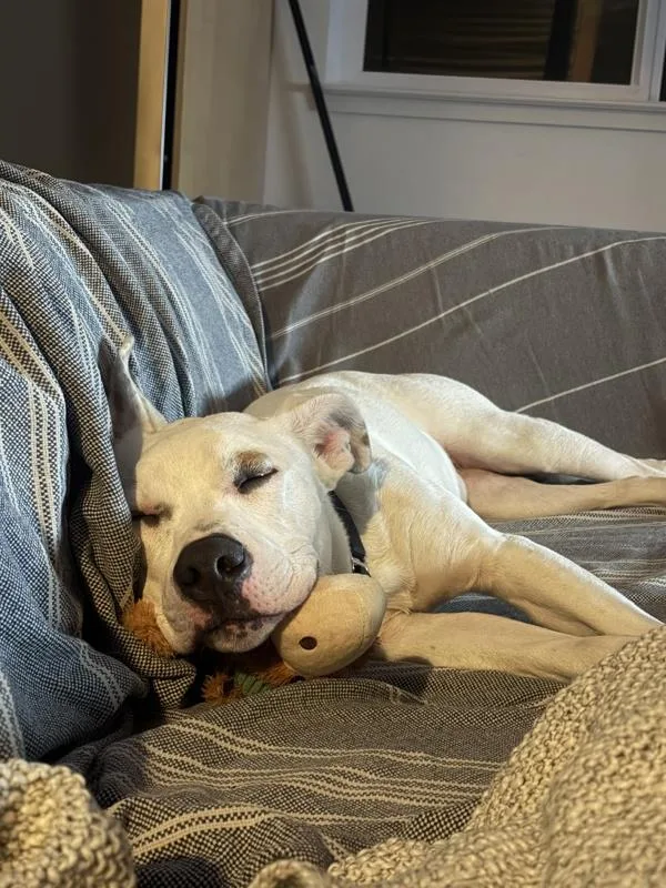 Kalamazoo thumbnail 5