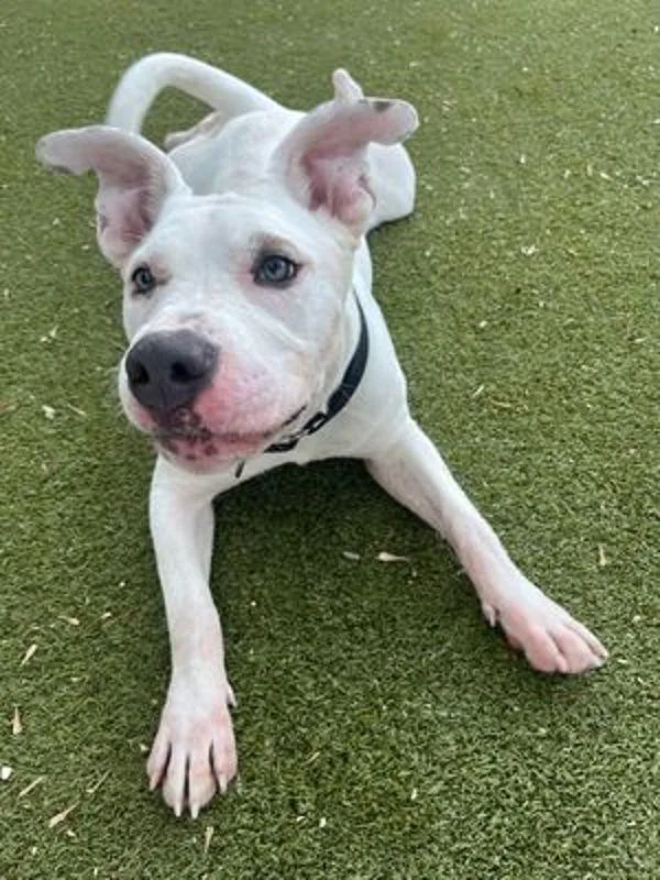 Kalamazoo thumbnail 6