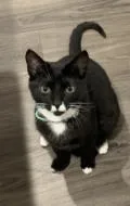 Pepper FKA Stew