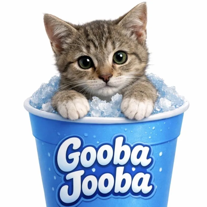 A baby small-sized female Brown / Chocolate Domestic Short Hair cat named Gooba Jooba for adoption in Westminster, CA