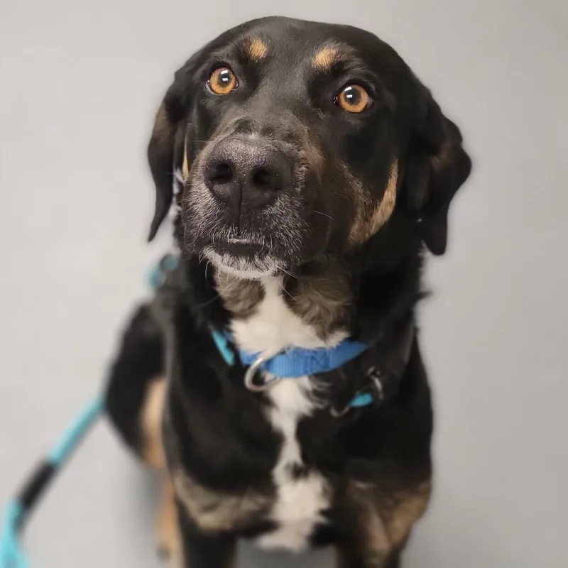 Bartholomew thumbnail 2