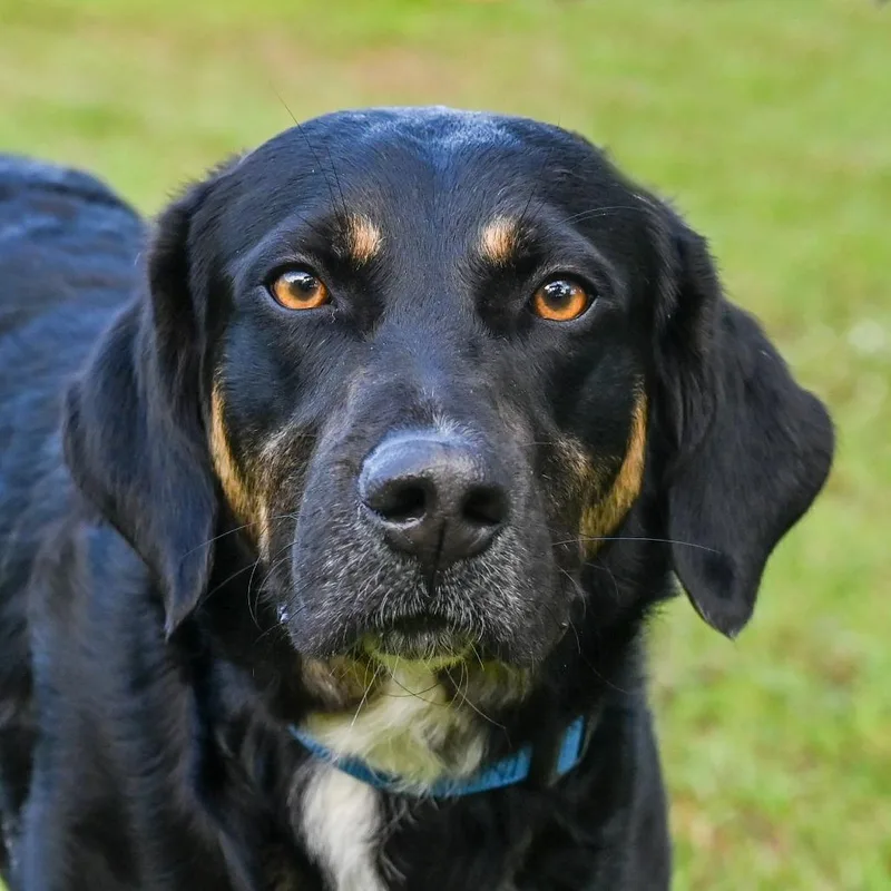 Bartholomew thumbnail 4