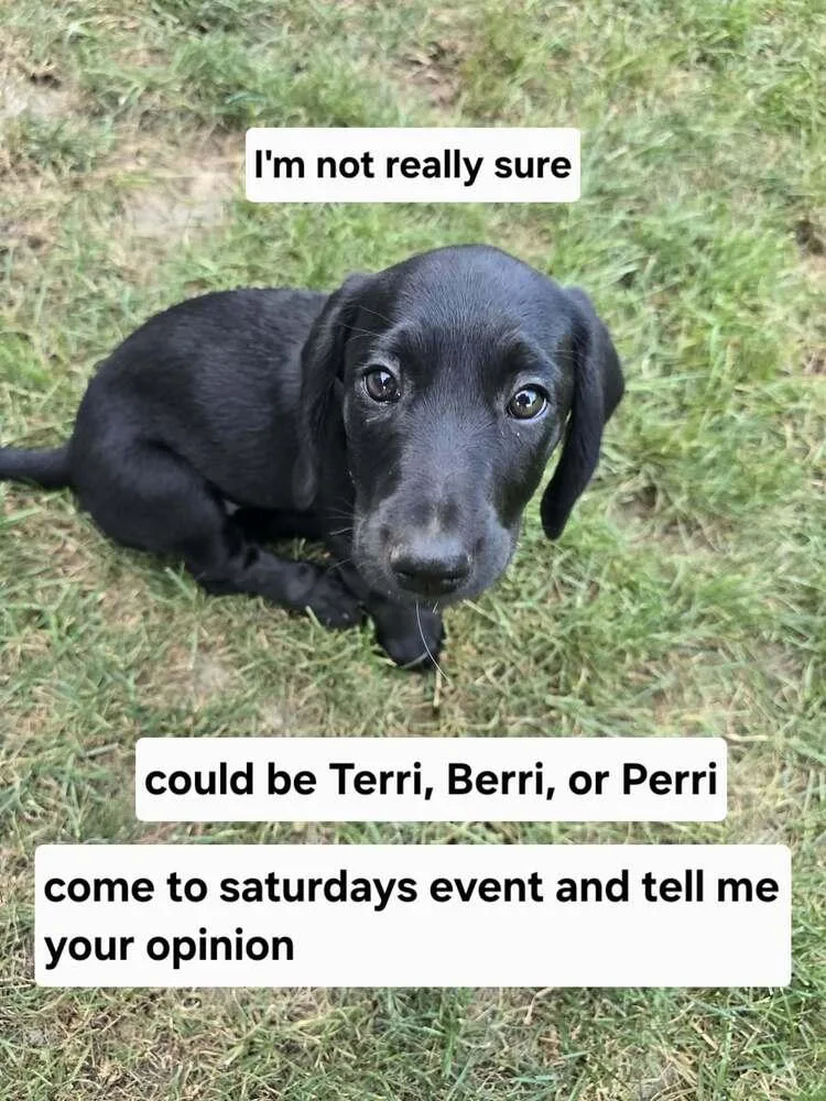 Terri thumbnail 2