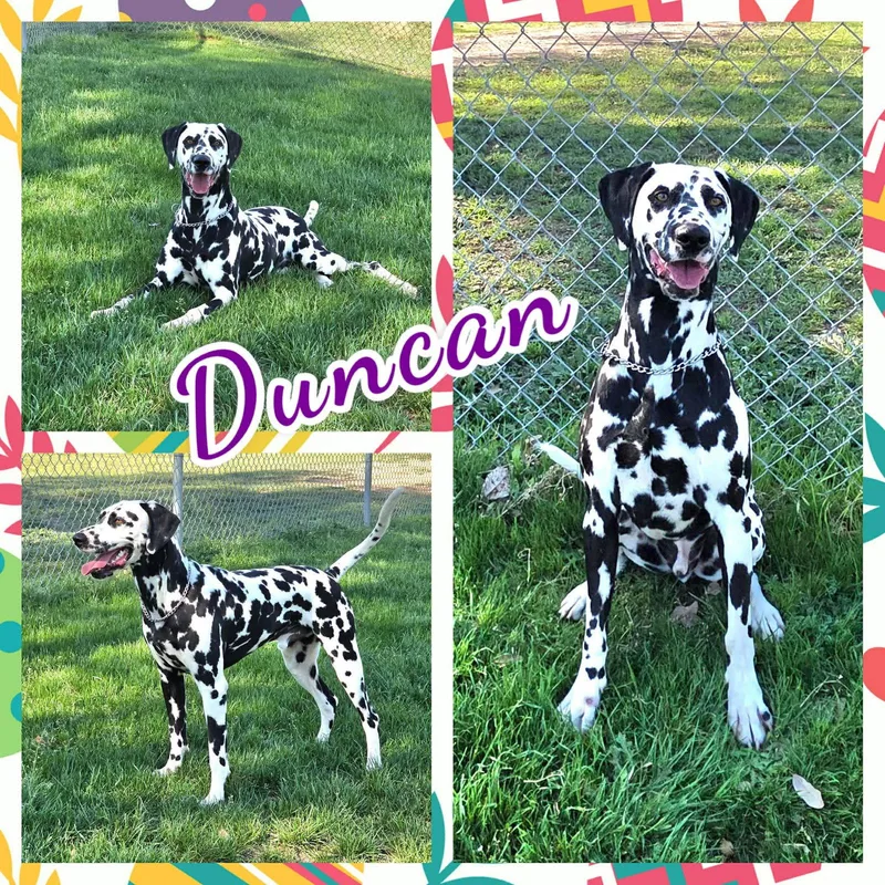 Duncan