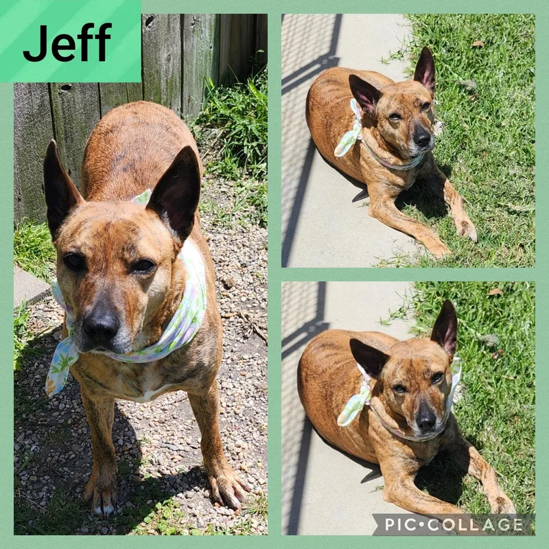 Jeff