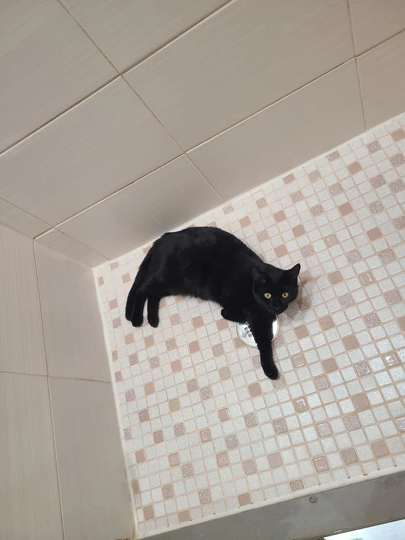 Musique And Zing thumbnail 3