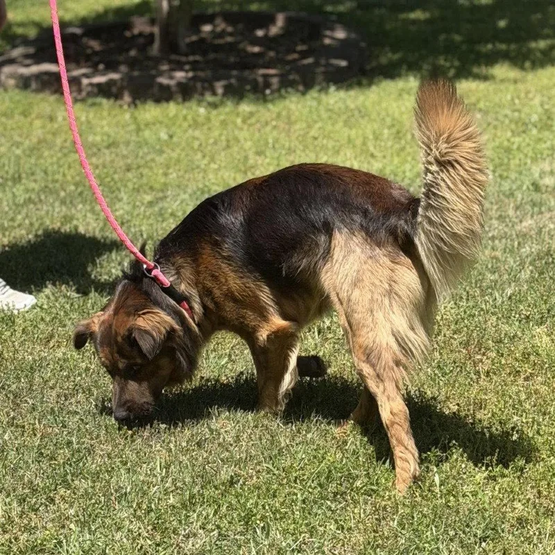 Milo