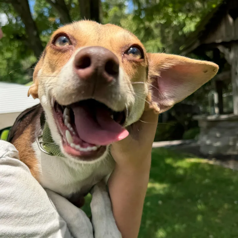Betty thumbnail 3