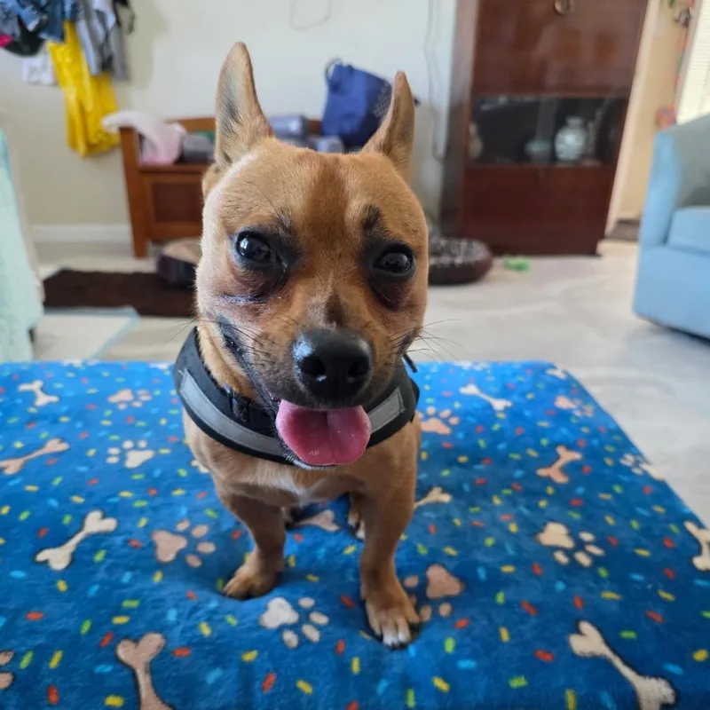 Charlie thumbnail 6