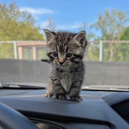 Coco
