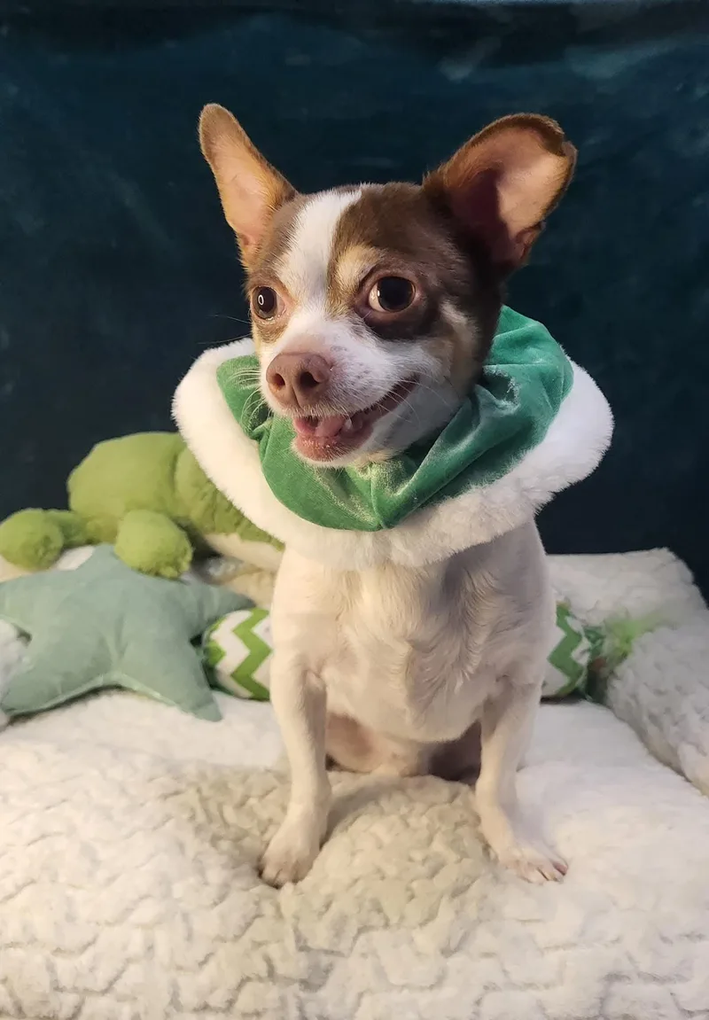 Lance  Please Read thumbnail 2