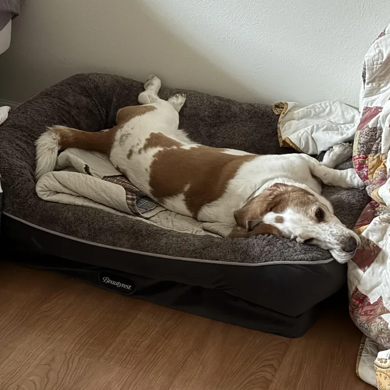 Zoey thumbnail 6