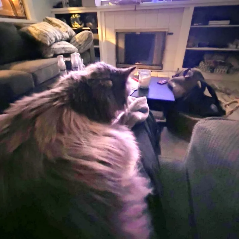 Sophie thumbnail 4