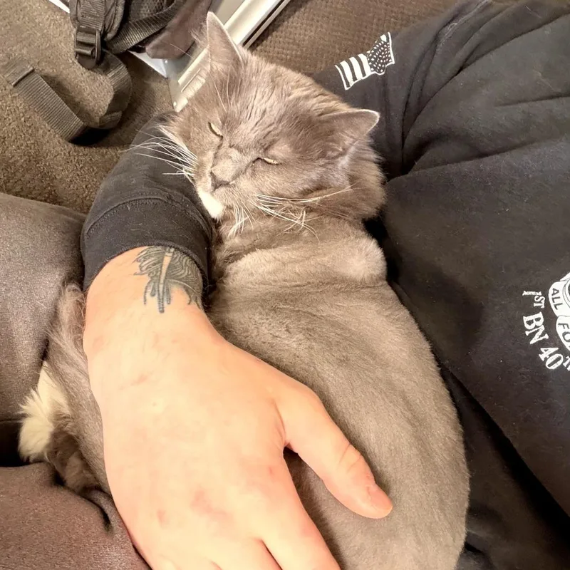 Sophie thumbnail 5