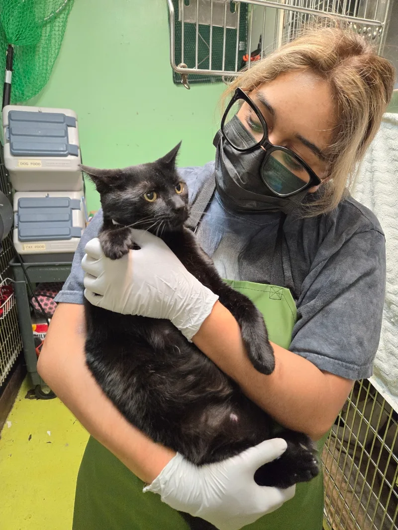 Ms. Jet Black Beauty!