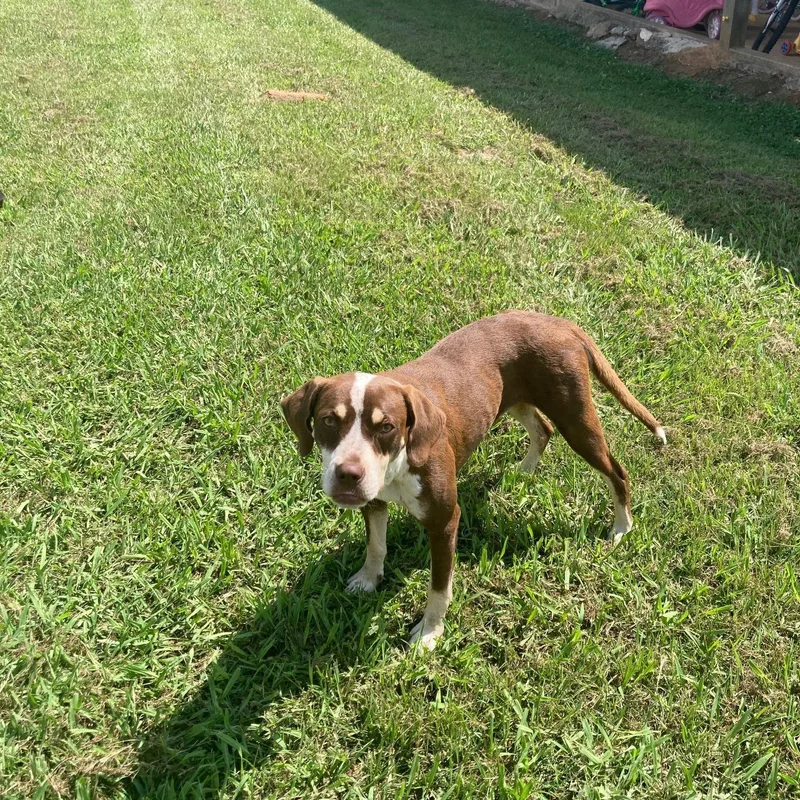 Penelope thumbnail 2