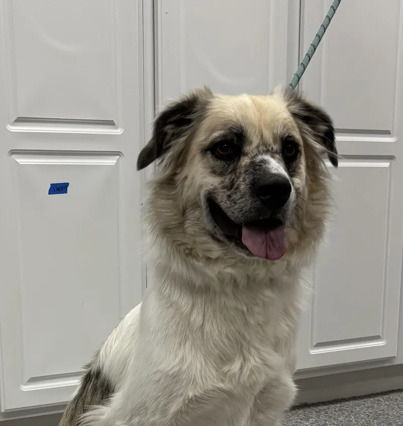 Delta thumbnail 5
