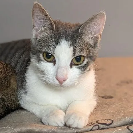 Dorothy Ann Aka "dot" thumbnail 2