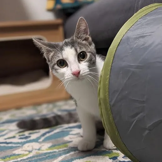 Dorothy Ann Aka "dot" thumbnail 4