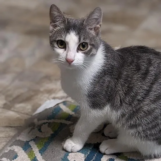 Dorothy Ann Aka "dot" thumbnail 5