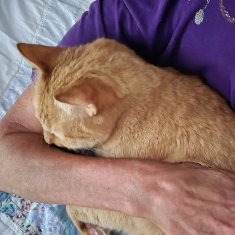 Luther and Maple thumbnail 4