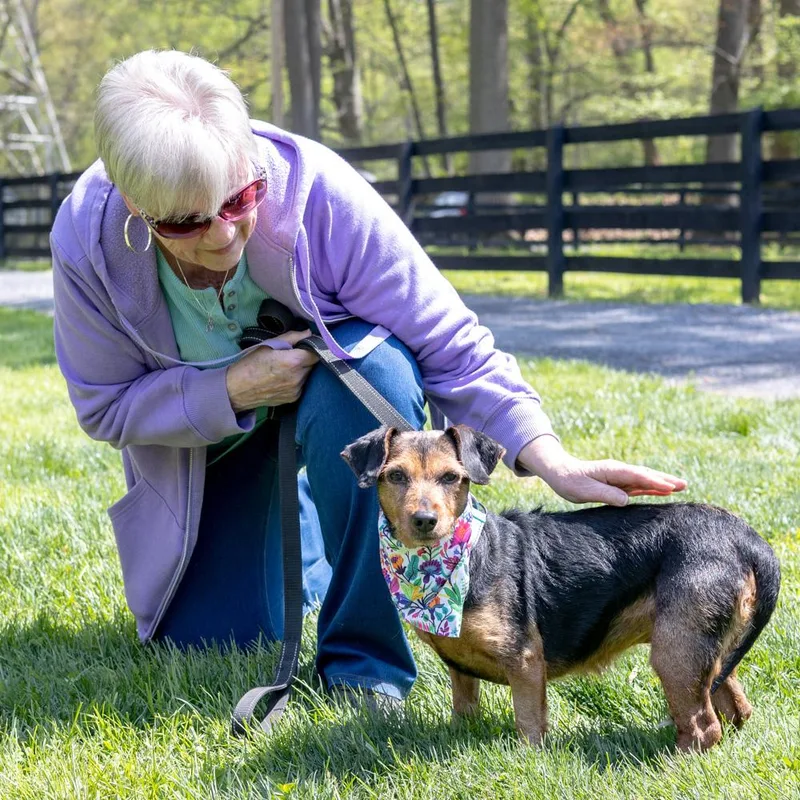 Clover  Female  thumbnail 2