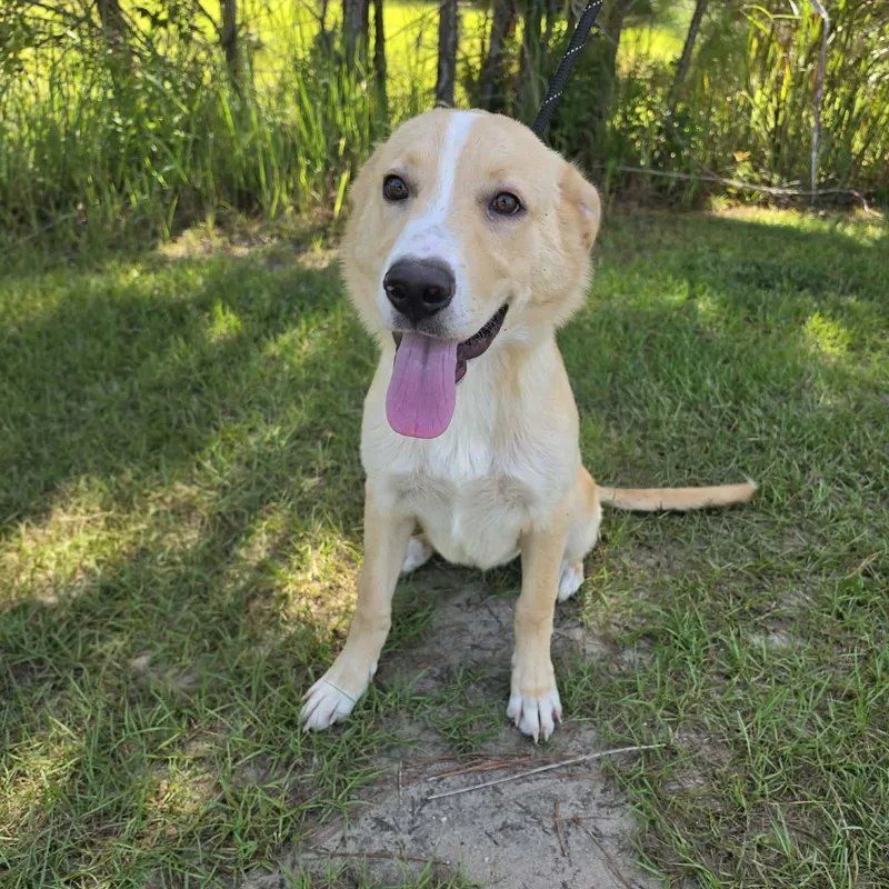 Milo