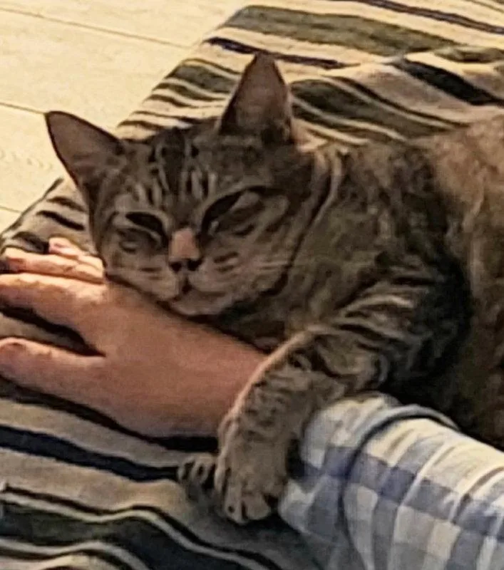Tiggy thumbnail 2