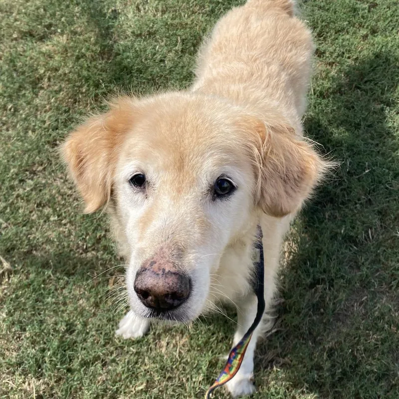 Charley thumbnail 2