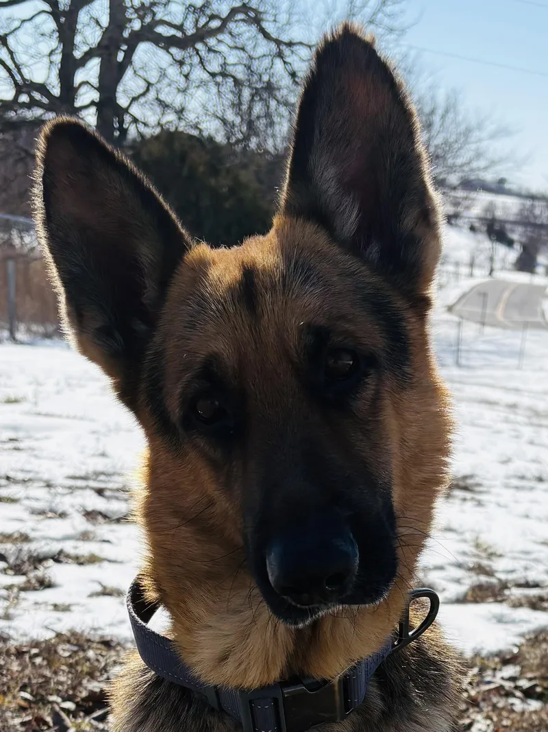 Stanley Aka Stan The