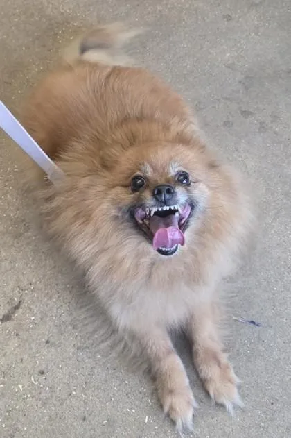 Nala thumbnail 2