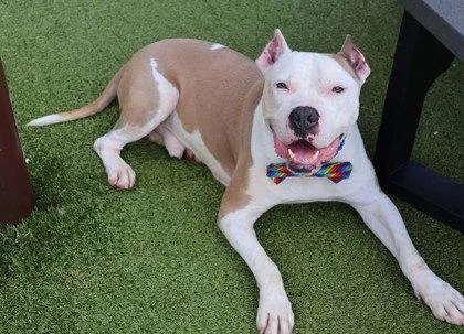 Cain Athens thumbnail 2