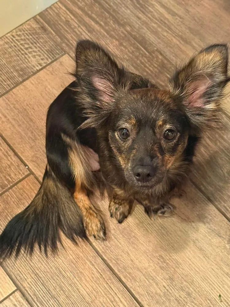 Roxy