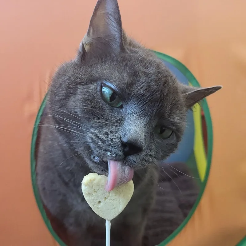 Sterling thumbnail 4