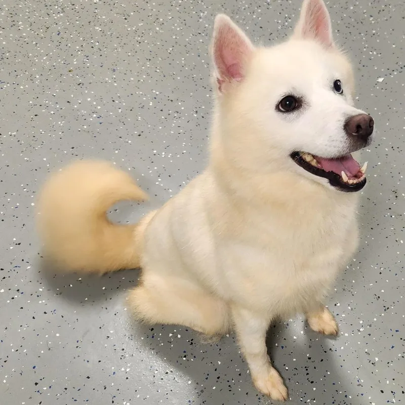 Yuki thumbnail 2