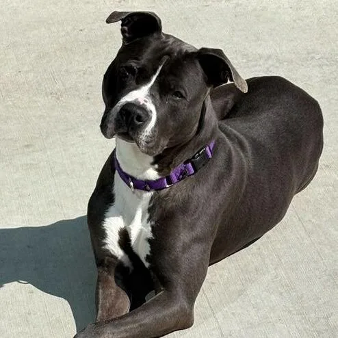 Isabella thumbnail 6