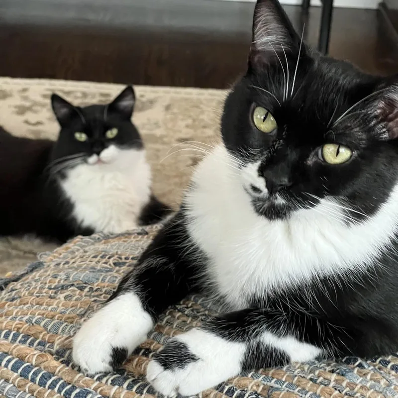 Couch Potato thumbnail 6