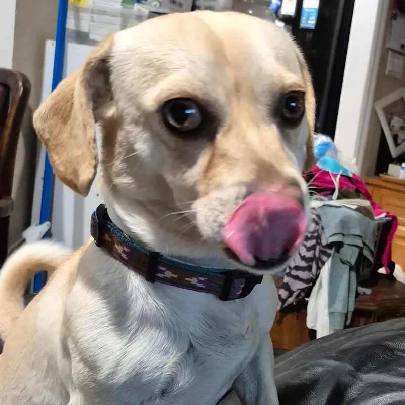 Rollin' Rollins thumbnail 2