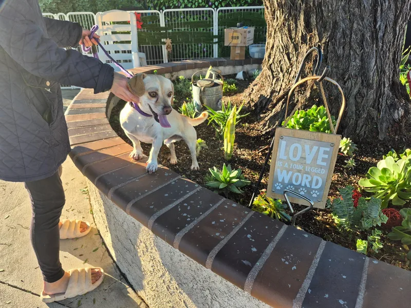 Rollin' Rollins thumbnail 5