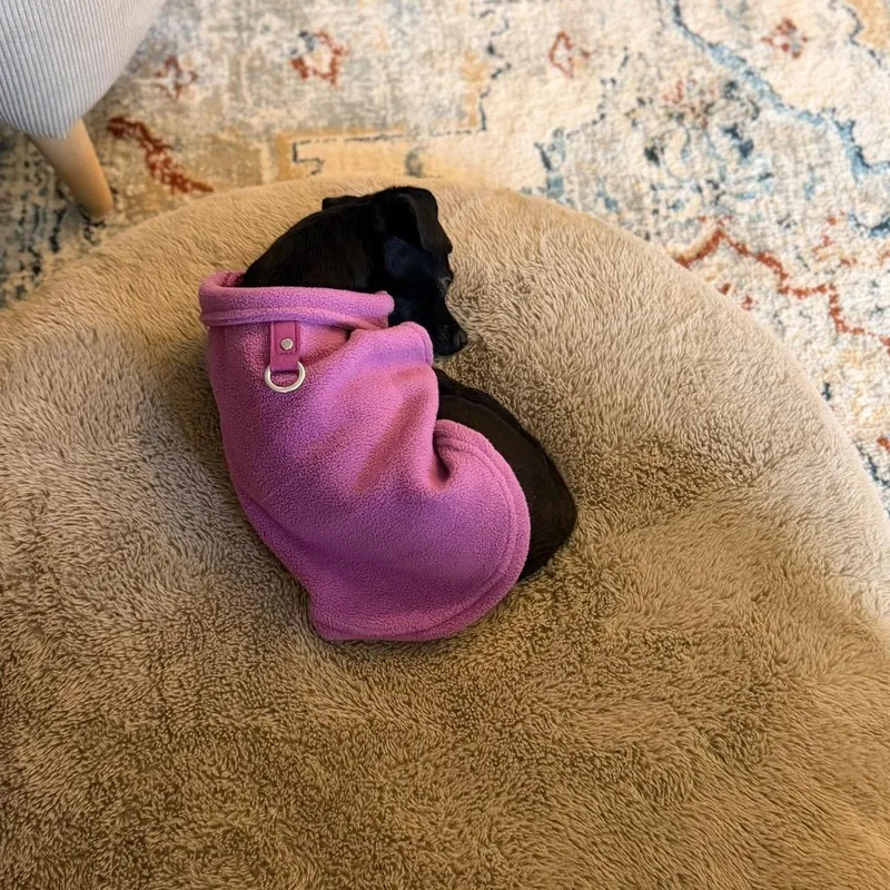 Perilita thumbnail 2