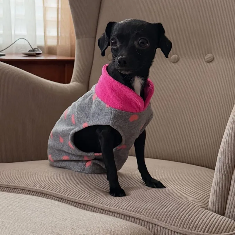 Perilita thumbnail 5